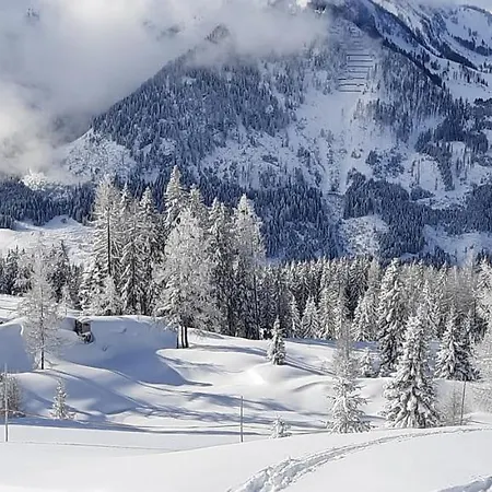 Bed & Breakfast Auhof Flachau